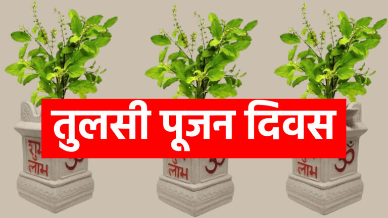 Tulsi Pujan Divas 2024: 24 दिसंबर को करें तुलसी पूजन, मिलेगा मां का आशीर्वाद, जाने किस तरीके से करें तुलसी पूजन